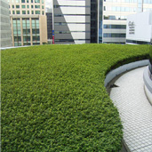 植栽維持管理・個人邸の画像3