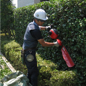 植栽維持管理・個人邸の画像4