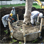 植栽工事の画像2
