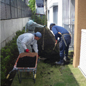 植栽工事の画像4